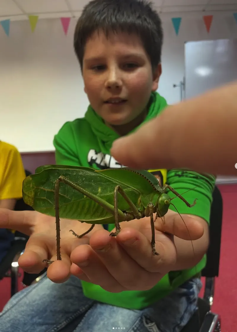 Ein Schüler bestaunt eine Heuschrecke